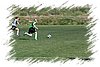 2010_10020062.JPG