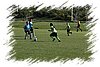 2010_10020139.JPG