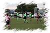 2010_11060096.JPG