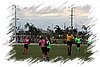 2010_11060100.JPG