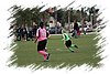 2010_11060101.JPG
