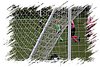 2010_11060109.JPG