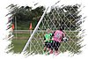 2010_11060110.JPG