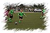 2010_11060144.JPG