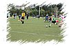 2010_11060221.JPG