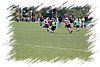 2010_11060253.JPG