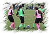 2010_11060395.JPG