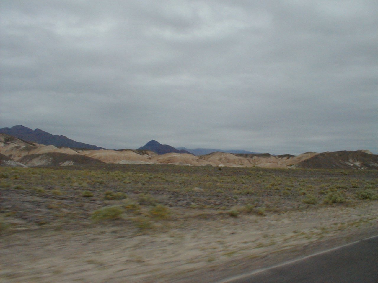P3191866.JPG