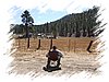 2006_10210021.JPG