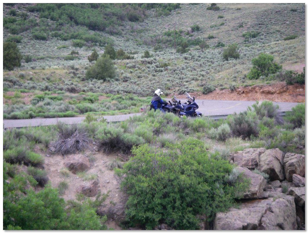 080625GTSRallyHarley47.jpg