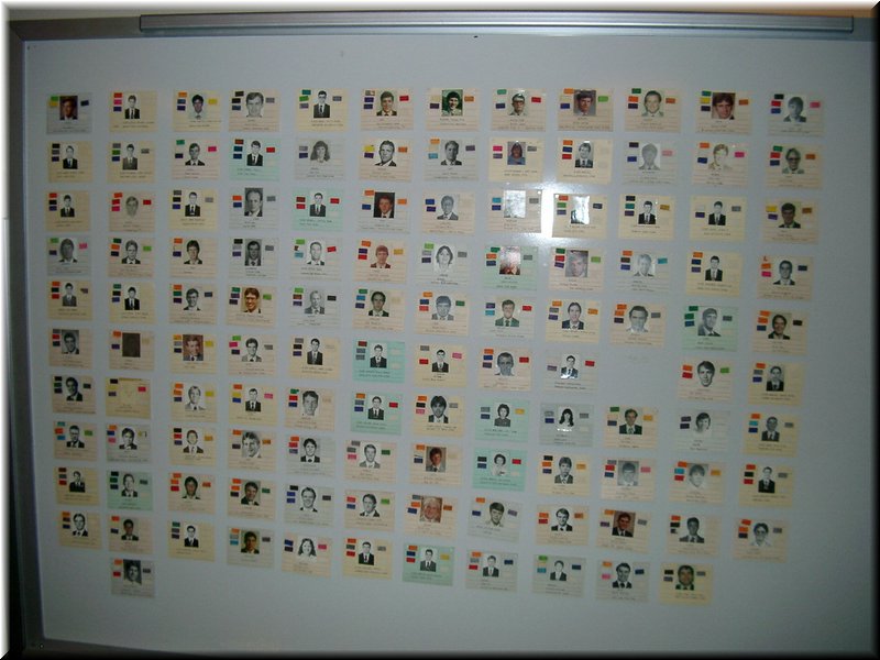 Transfer Cards.JPG