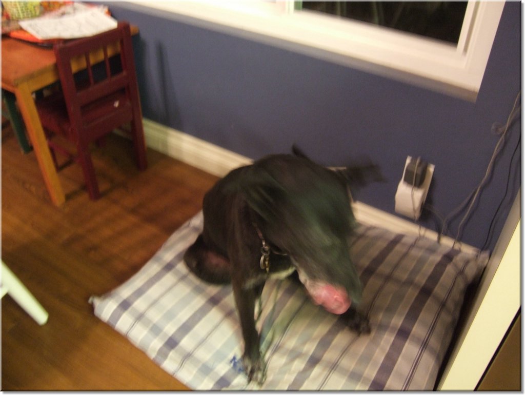 2006_10310037.JPG