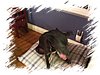 2006_10310037.JPG