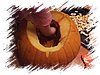 2006_10310045.JPG
