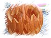 2007_11030070.JPG