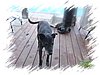 2007_11030077.JPG
