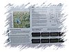 2007_06020086.JPG