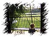 2007_05050004.JPG