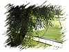 2007_05050005.JPG