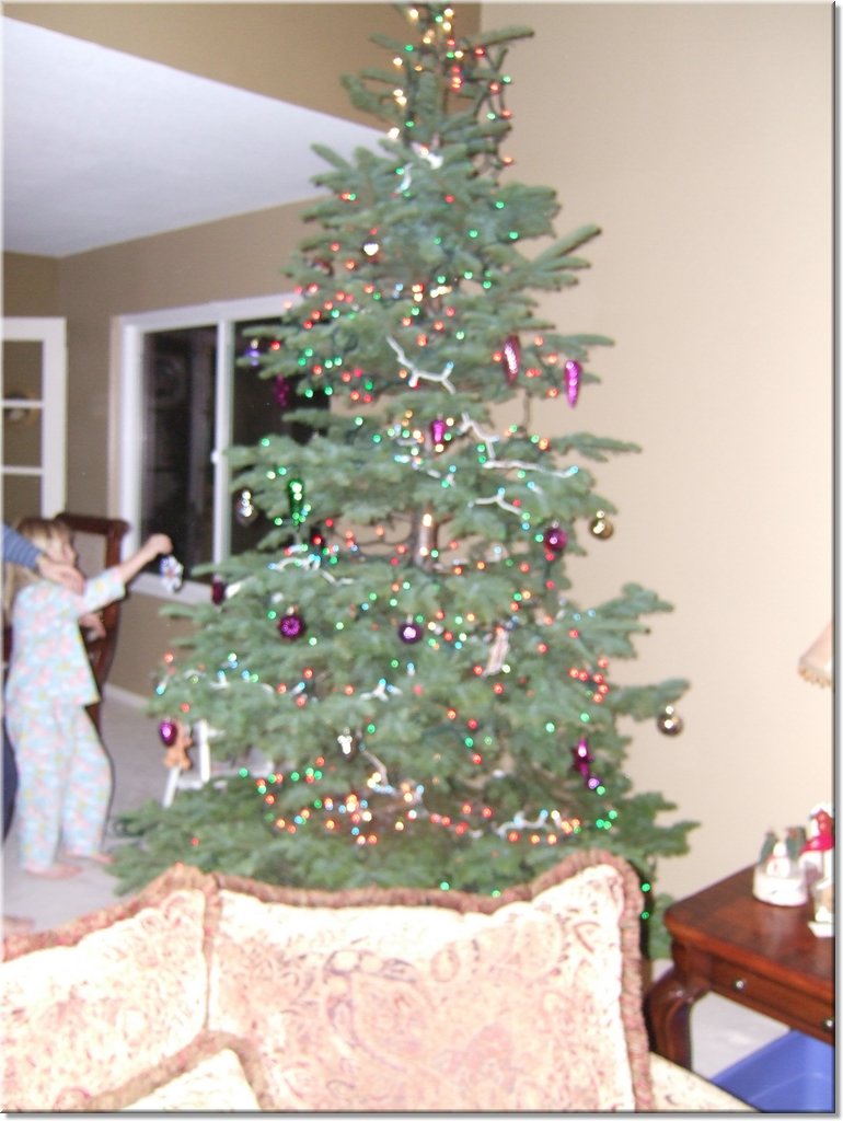 2006_12250021.JPG