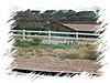 2007_06020192.JPG